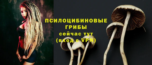 PSILOCYBIN Балахна