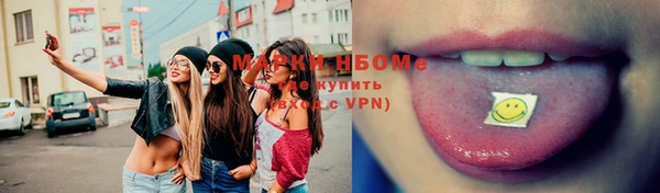 гашик Аркадак