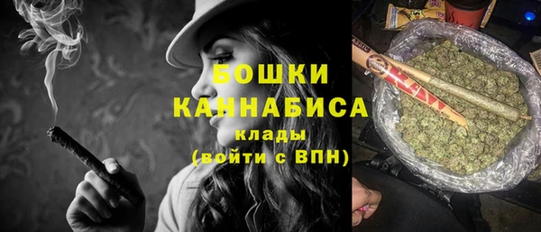 шишки Балабаново