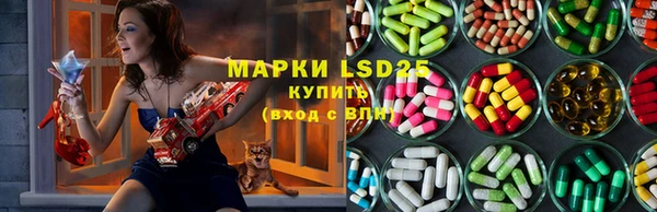 гашик Аркадак